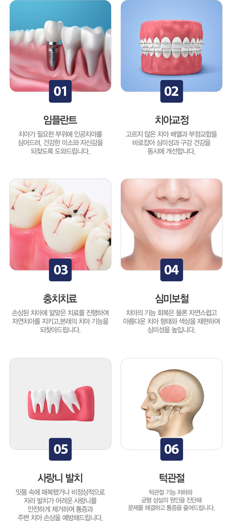 진료과목